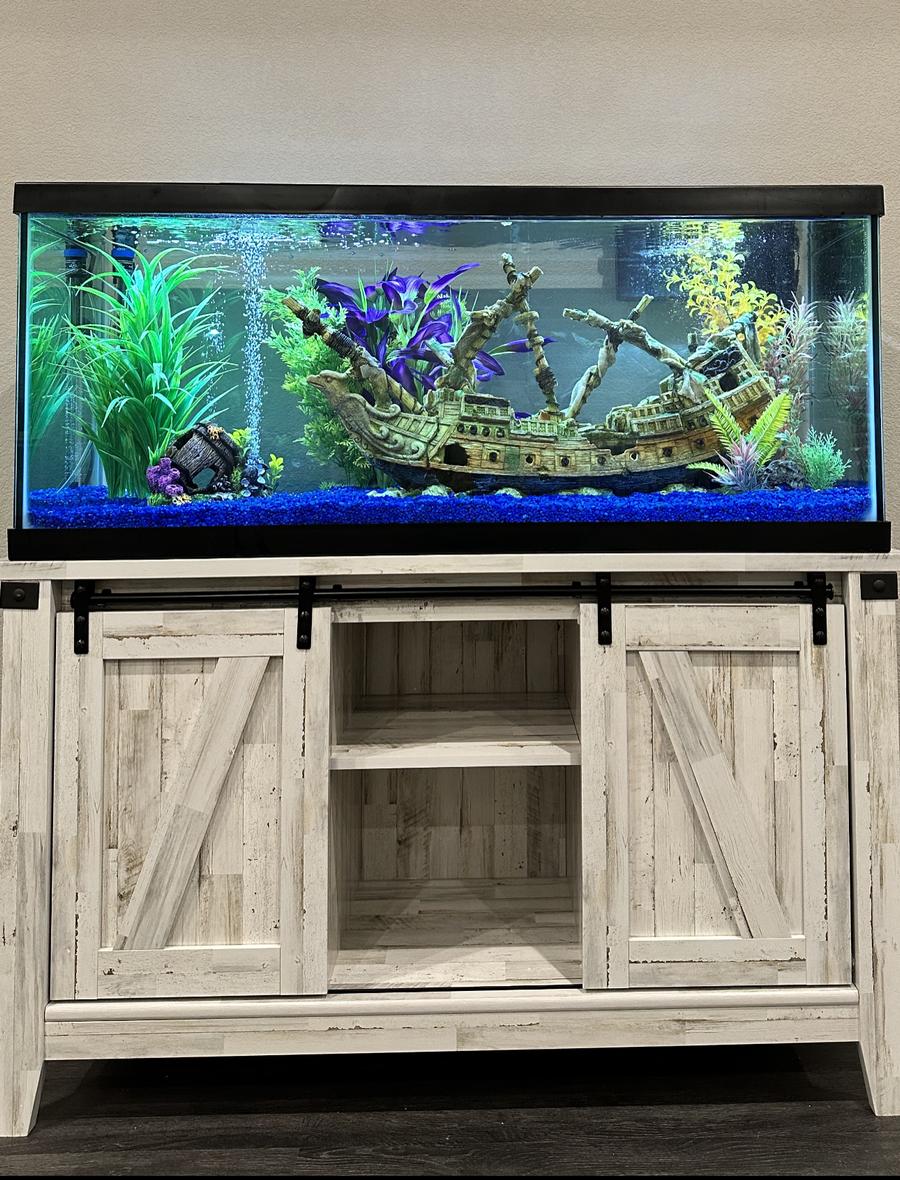 75 gallons freshwater fish tank (mostly fish and non-living decorations) - AHOY!