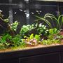fish tank picture - Another view of the tank