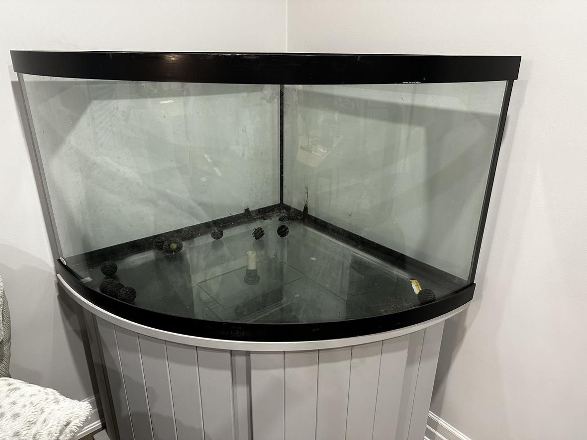 125 gallons freshwater fish tank (mostly fish and non-living decorations) - CICHLID TANK COMING SOON