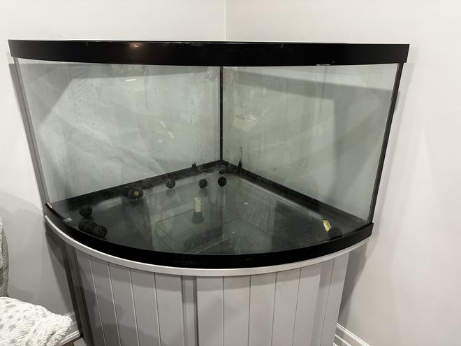 125 gallons freshwater fish tank (mostly fish and non-living decorations) - CICHLID TANK COMING SOON