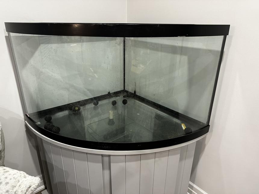 Rated #15: 125 Gallons Freshwater Fish Tank - CICHLID TANK COMING SOON