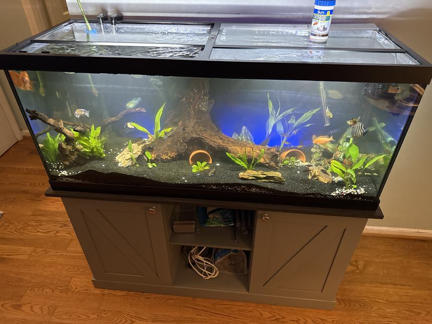 Rated #4: 75 Gallons Planted Tank - 75 gal