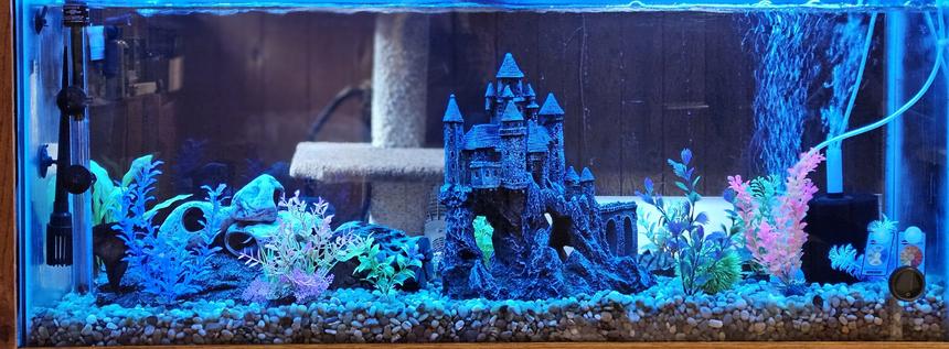Rated #6: 55 Gallons Freshwater Fish Tank - Castle