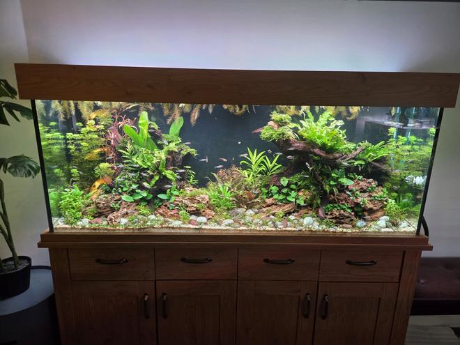 80 gallons planted tank (mostly live plants and fish) - 83 gallon (315 litre) - 1.5 months in
