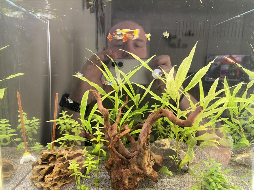 CO2 for Planted Aquariums: A Beginner's Guide to Healthier, Faster Growth