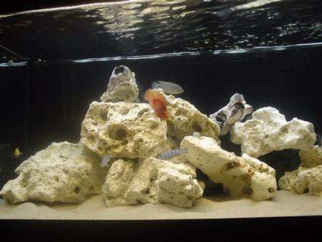 50 gallons freshwater fish tank (mostly fish and non-living decorations) - My current display tank... due for a full upgrade...  With this one,  I wanted a really striking contrast between the dark background and light rocks / sand. Scale was important too - i wanted the large rocks and moderately sized fish to suggest a much bigger space.  Sort of in line with what Takashi Amano does with plants, not that i think my work compares to his!!  Hope you like it...!!!