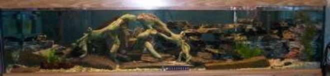 100 gallons freshwater fish tank (mostly fish and non-living decorations) - All Glass 100 gallon (72"x18"x18", very hard to photograph it) with dual flourescent sun lamps. I use 2 Whisper 60 filters, and a sponge filter on a 290 power head and a small airstone. Substrate is garden gravel. A few small driftwood pieces. Many of the rocks are 300-400 year old indian tools and axe heads. Simulated root system. I used antique marble dresser and vanity tops that were broken for the background on the left end, provides many caves and crevices. I have large slabs of naturally weathered rounded slate with marble inclusions as a base, these are supported by 2 layers of bubble wrap beneath.