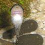 freshwater fish - otocinclus sp. - otocinclus catfish stocking in 12 gallons tank - OTO ELLO!
