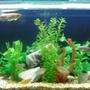 220 gallons freshwater fish tank (mostly fish and non-living decorations) - I hope you will be love it.