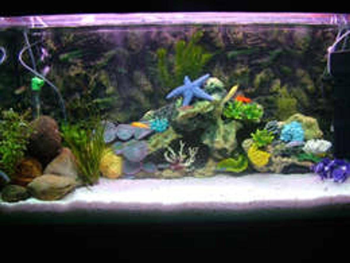 65 gallons saltwater fish tank (mostly fish, little/no live coral) - THIS IS A FRESH WATER TANK .. !!!!
