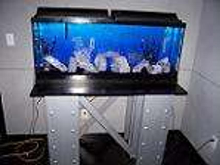Rated #428: 55 Gallons Freshwater Fish Tank - My tank is 1 Foot x4 foot and 21' tall , it has a tetra 3,4 filter Black gravel lots of quarts stones black and white plants, Stellar W 60 air pump,.A custom made stand to look like steel I beams, Very modern looking.