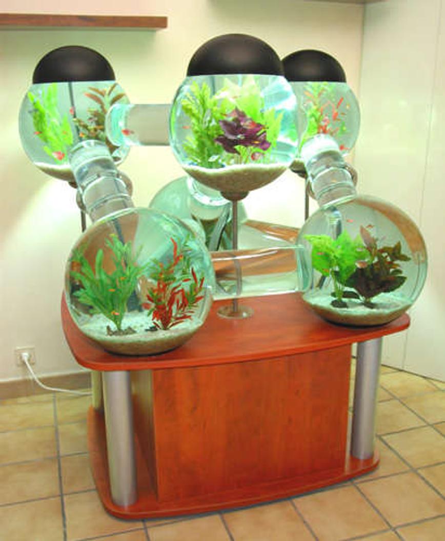 Rated #3: 60 Gallons Freshwater Fish Tank - My super cool tank!!