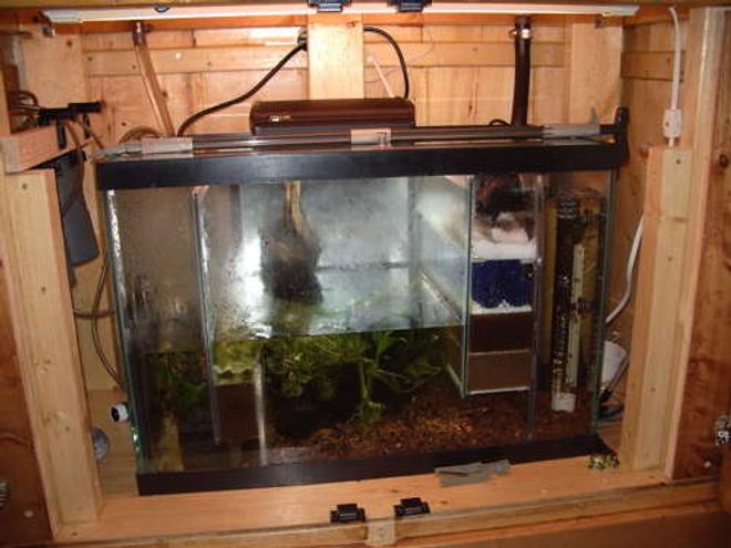 33 gallons planted tank (mostly live plants and fish) - Sump/refugium 20 gallon. Water enters on right, flows through filter floss, bioballs, two levels of sponges, into refugium, through sponge level and back to return pump. Refugium contains java moss to use up excess nutrients.