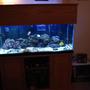 75 gallons saltwater fish tank (mostly fish, little/no live coral) - 75 gal Reef tank