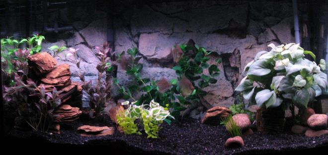 90 gallons freshwater fish tank (mostly fish and non-living decorations) - 90 Gallon Freshwater
Emperor 400 and Rena XP3
250 and 150 watt heaters
Rena air pump