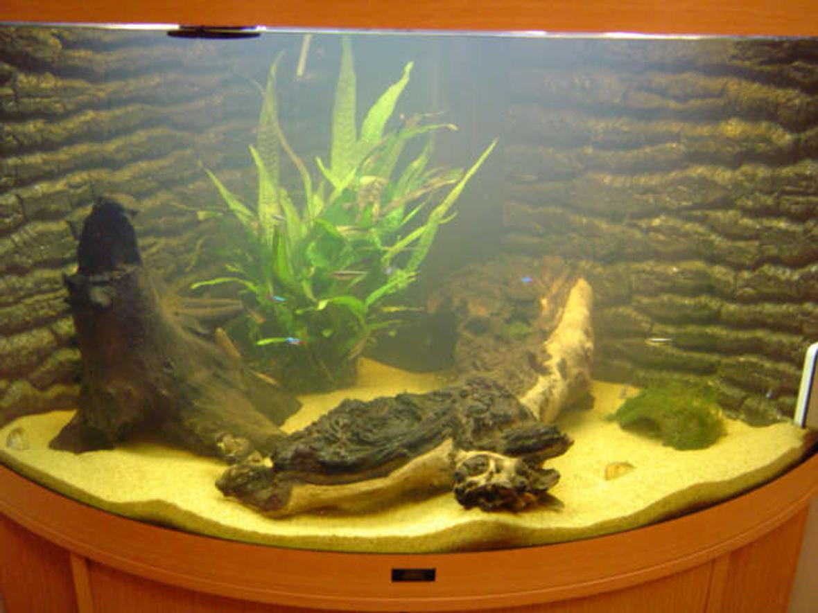 42 gallons freshwater fish tank (mostly fish and non-living decorations) - Tropical Tank