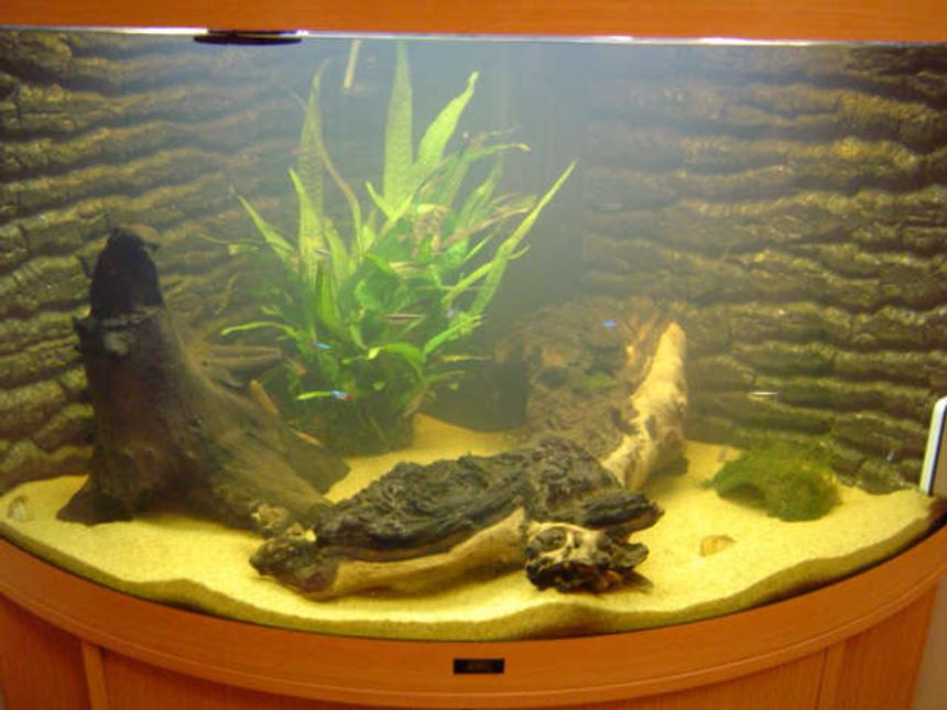 Rated #202: 42 Gallons Freshwater Fish Tank - Tropical Tank