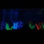 90 gallons freshwater fish tank (mostly fish and non-living decorations) - my 75 gal. at night with the black light on