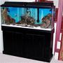 55 gallons freshwater fish tank (mostly fish and non-living decorations) - 55 GALLON TANK FRESHWATER
