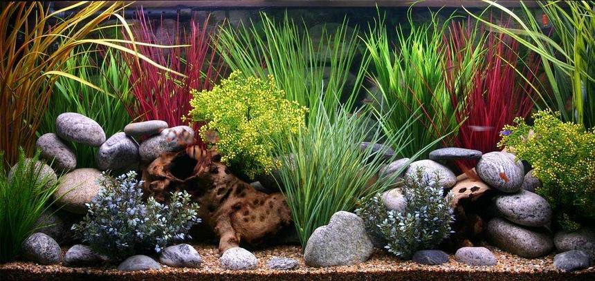 Rated #8: 100 Gallons Freshwater Fish Tank - 100 Gallon custom tank.All plastic plants.