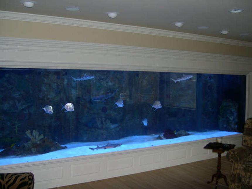 Rated #5: 4000 Gallons Saltwater Fish Tank - my 4000 gallon tank