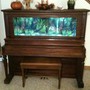 fish tank picture - my piano tank