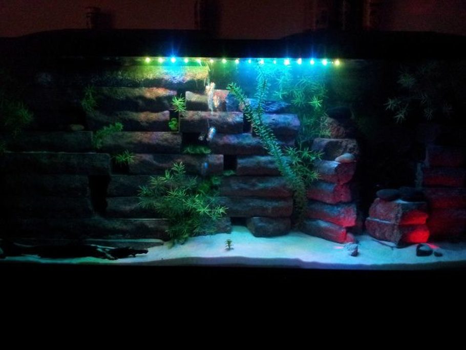 Marc317 S Additional Tank Picture Photo Id 38182 Full Version Night View With Led Bubble Wand Shining Down From The Top Moonlights Not On