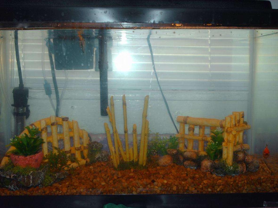 10 gallons freshwater fish tank (mostly fish and non-living decorations) - tiki theme with fish :]