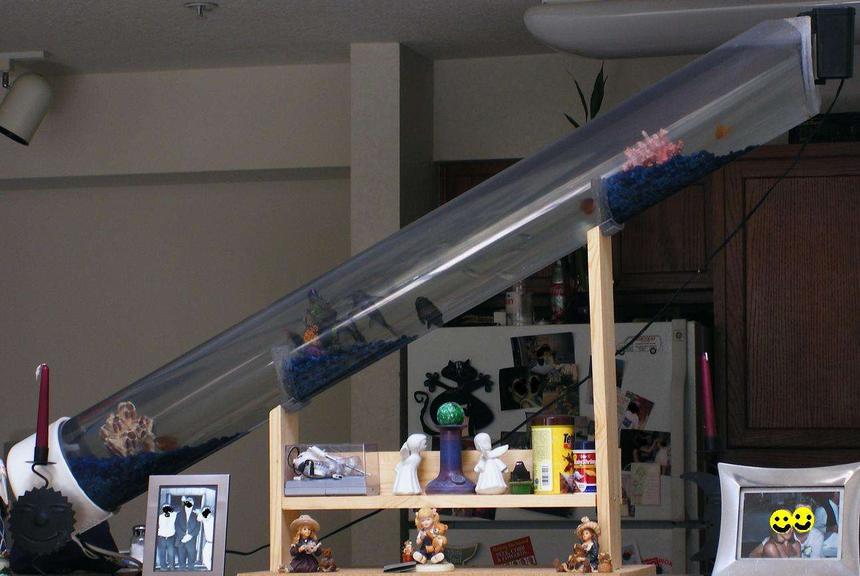 Rated #383: 12 Gallons Freshwater Fish Tank - My 5' long awesome fish tank!!!!