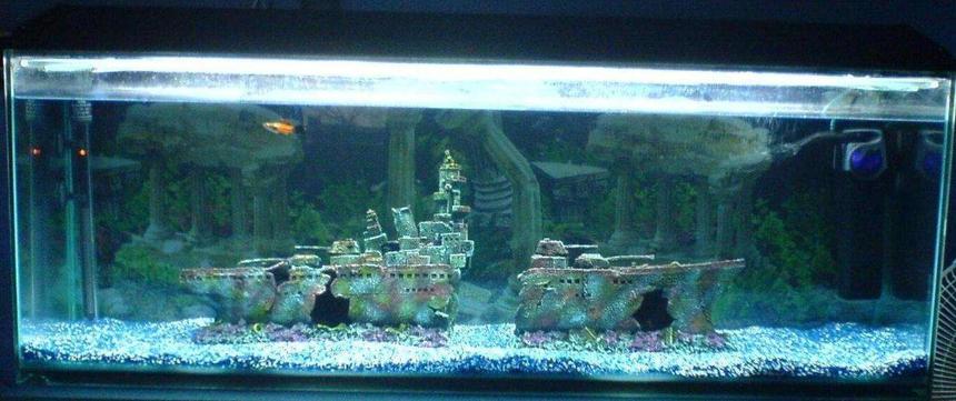 Rated #3608: 47 Gallons Freshwater Fish Tank - Fish Tank (4" one) the 2nd day! with my boat and 3 sword tails in there.