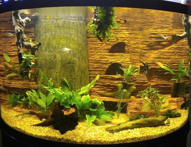 oceanic fish tank