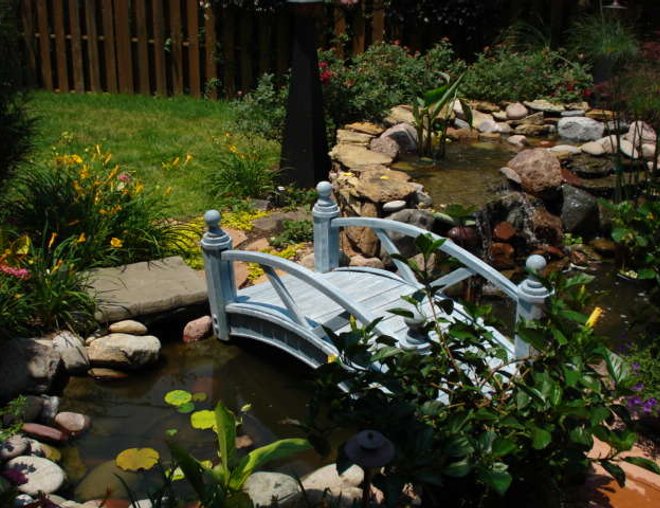 46 gallons planted tank (mostly live plants and fish) - well, kinda....