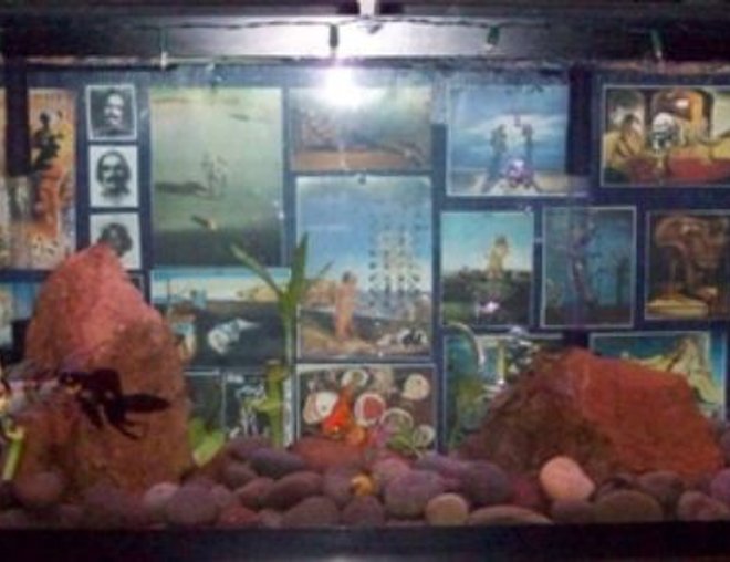 55 gallons planted tank (mostly live plants and fish) - Our 55gal. In all its Glory.