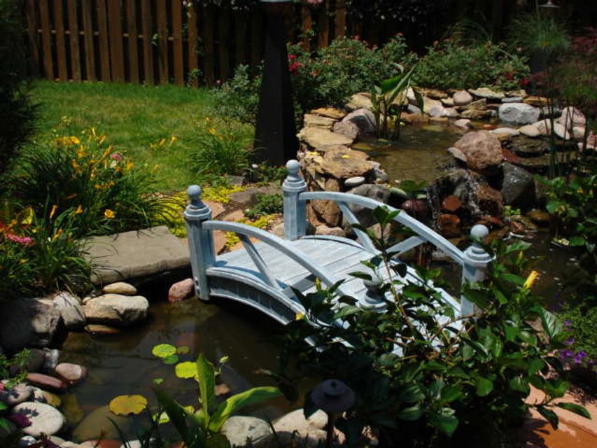 Rated #158: 46 Gallons Planted Tank - well, kinda....