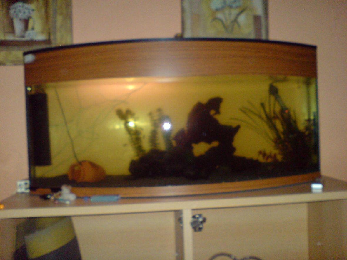 50 gallons freshwater fish tank (mostly fish and non-living decorations) - i cant seem to get a good pic but will try again and get it on here asap