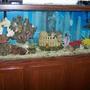 55 gallons saltwater fish tank (mostly fish, little/no live coral) - Almost done! Most recent pic.
