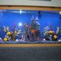 55 gallons freshwater fish tank (mostly fish and non-living decorations) - the babies house