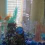 fish tank picture - Belle