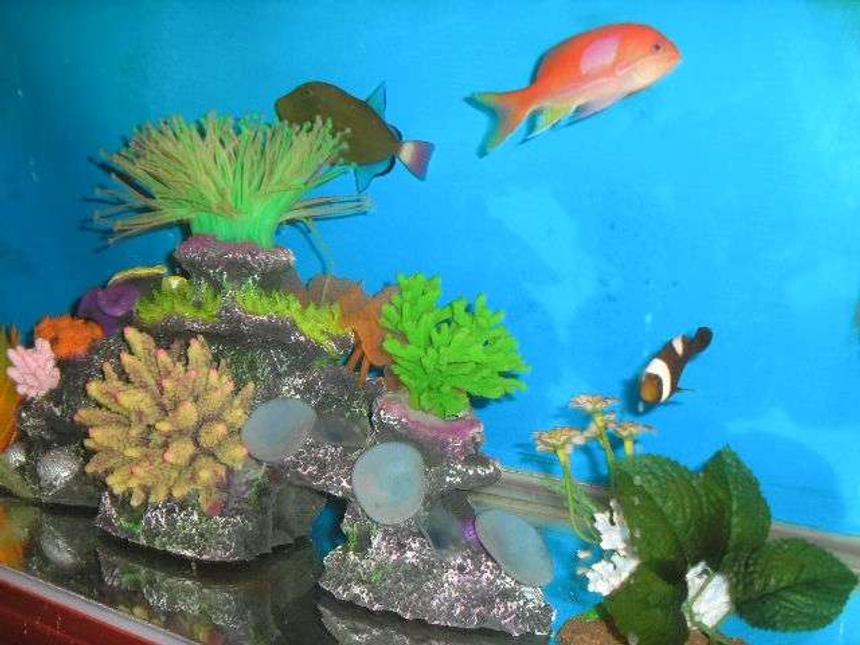 Rated #99: 50 Gallons Saltwater Fish Tank - 50 gal. artificial corals, pink square anthias, humu-humu rigger, pink tail trigger, saddle back clown, blue fin damsel