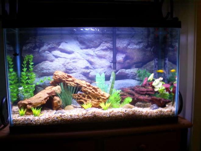 30 gallons freshwater fish tank (mostly fish and non-living decorations) - Basic setup.  Actually first tank for me.  I have driftwood and fake plants