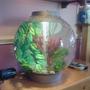3 gallons freshwater fish tank (mostly fish and non-living decorations) - My new BiOrb I managed to Con my mom into having!