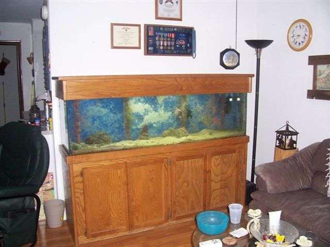 125 gallons saltwater fish tank (mostly fish, little/no live coral) - Finally got it. 125gal