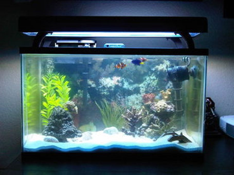 Dealing With Hard Water In The Saltwater Tank